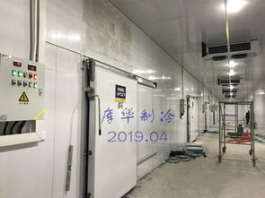 庫華制冷工程案例分享 奶茶 五期 大型食品冷庫設計安裝